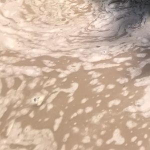 Meet your Posher, Jasmine